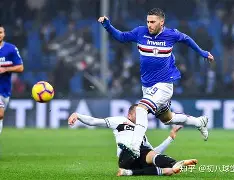 多米体育官方注册-奥运健儿们赛场拼搏精神的启示是什么